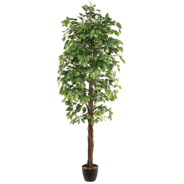 Artificial plant FICUS 2.40m